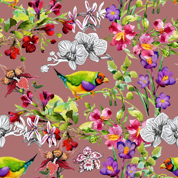 tropical  birds and exotic flowers - Foto, Bild