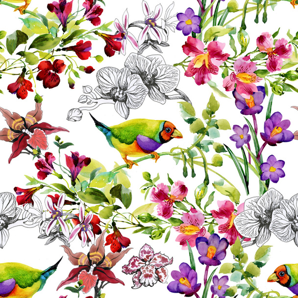 Tropische Vögel und exotische Blumen - Foto, Bild