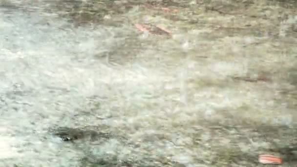 Σταγόνες βροχής πέφτουν πάνω σε μια λακκούβα με νερό σε μια γκρίζα βροχερή ημέρα της πόλης. - Πλάνα, βίντεο
