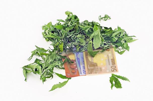 Висушене листя конопель на євро банкнотах
 - Фото, зображення