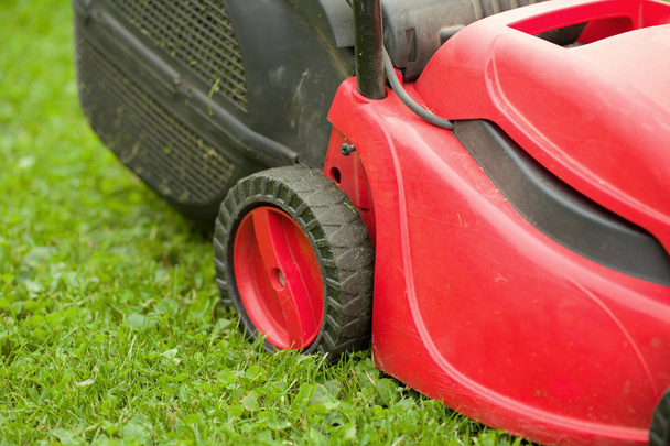 red lawnmower on green grass - Photo, Image