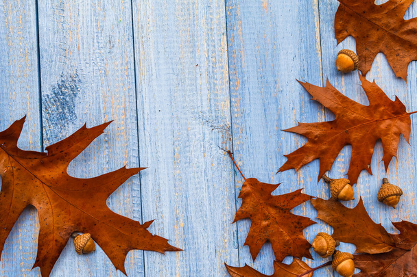 Dary podzimu dřevěné pozadí vinobraní složení - Fotografie, Obrázek