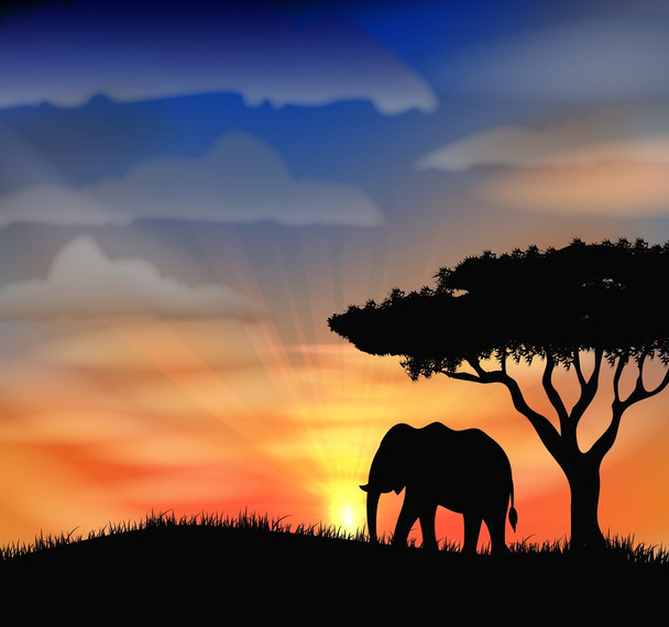 Ηλιοβασίλεμα στην Αφρική - Διάνυσμα, εικόνα