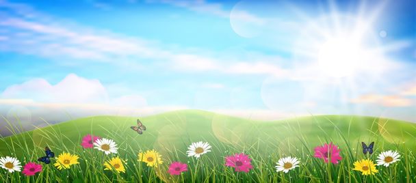 美しい春の牧草地のカラフルな花 - ベクター画像