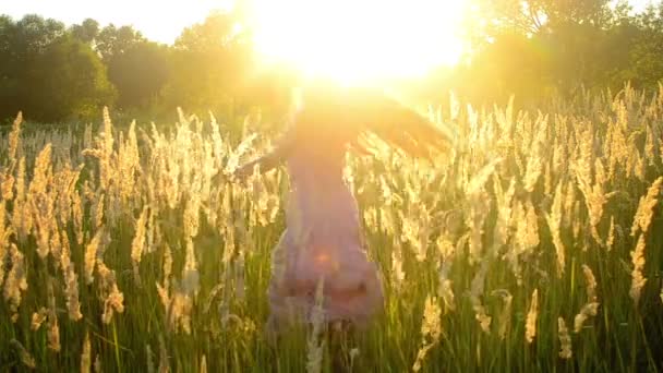 Девушка с длинными выпрямленными волосами внутри поля с высокой сухой травой
 - Кадры, видео