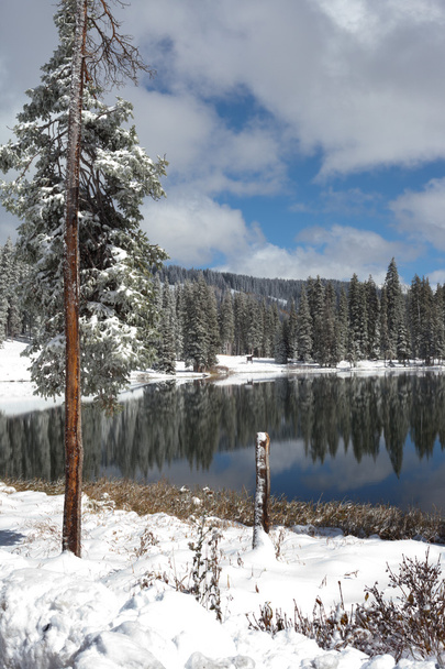 早期の雪後コベット湖 - 写真・画像