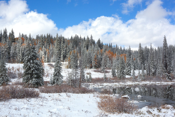 後早期の雪の山の池 - 写真・画像