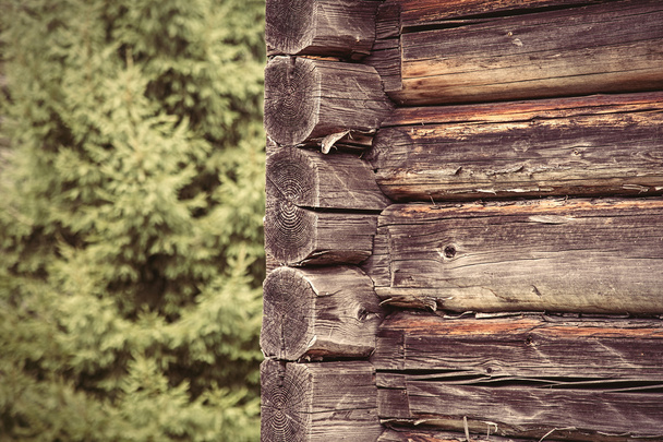 Wooden house wall - Photo, Image