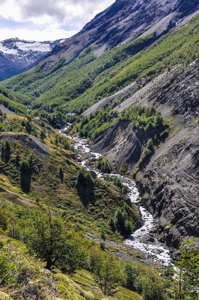 Mountain stream, Torres del Paine National Park, Chile - Foto, immagini