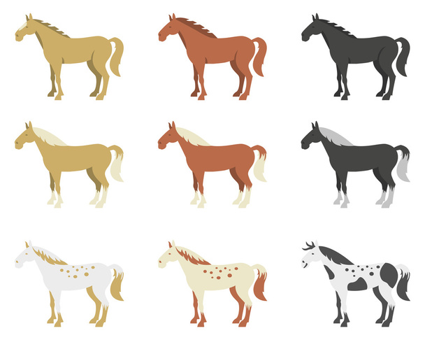 Um conjunto de cavalos de raças diferentes e cor
 - Vetor, Imagem
