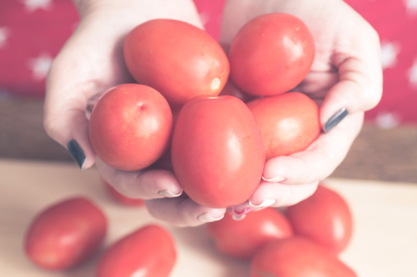 Kobiety w rękach pomidory - Zdjęcie, obraz