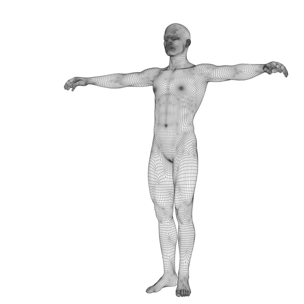 masculino feito de preto wireframe
 - Foto, Imagem