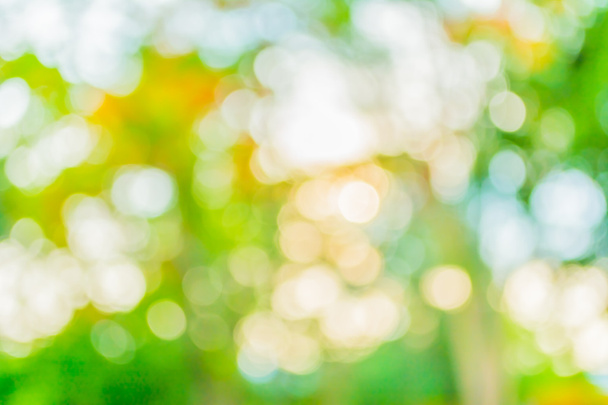 blur image of Abstract Bokeh of green tree color for summer background. - Photo, Image
