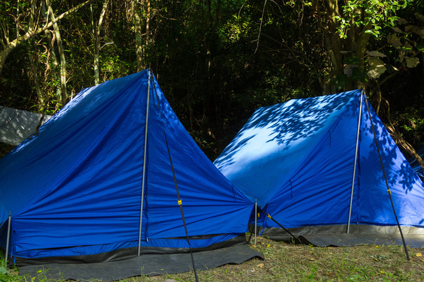 Camping in een forest - Foto, afbeelding