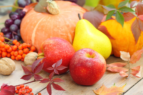 Осенний натюрморт с разнообразными фруктами, овощами, ягодами и орехами
 - Фото, изображение