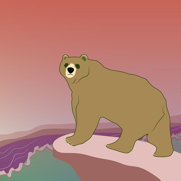 Kodiak-medve - Vektor, kép
