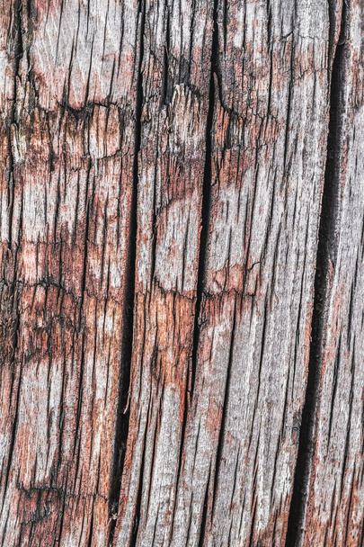 Vieille texture de surface grunge en bois craquelé pourri altéré
 - Photo, image