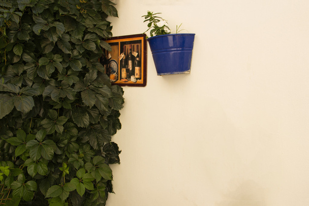 Украшенный цветочный горшок на стене
 - Фото, изображение