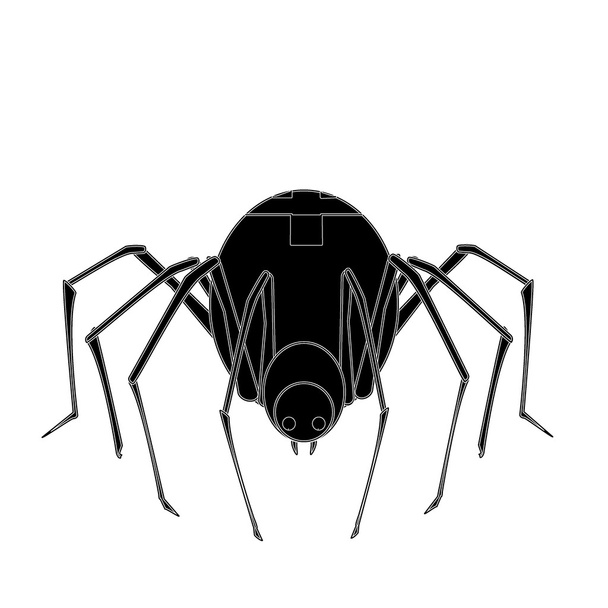 クモ - ベクター画像