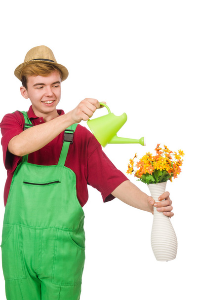 Jardinero joven con flor aislada en blanco
 - Foto, imagen