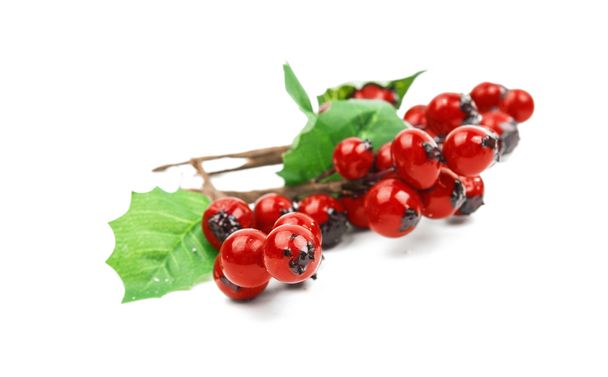 Winterberry Rama de Navidad con bayas de acebo rojo
 - Foto, Imagen
