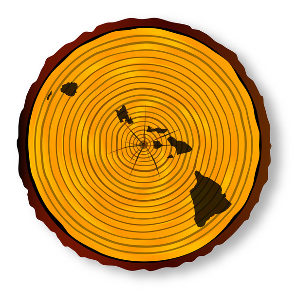 Hawaii kaart op hout - Vector, afbeelding