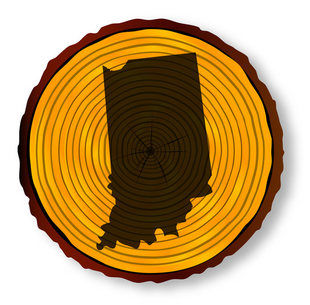 木材にインディアナ州地図 - ベクター画像