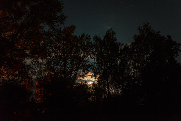 έναστρος ουρανός - Φωτογραφία, εικόνα