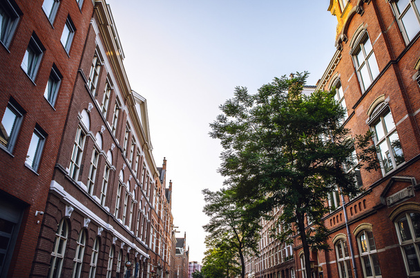 Traditional houses. Amsterdam - 写真・画像