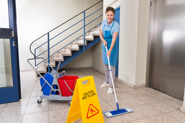 Female Worker With Cleaning Equipment - Zdjęcie, obraz