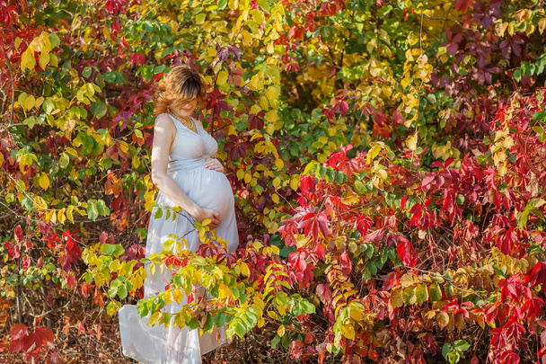 Pregnant female - Fotoğraf, Görsel