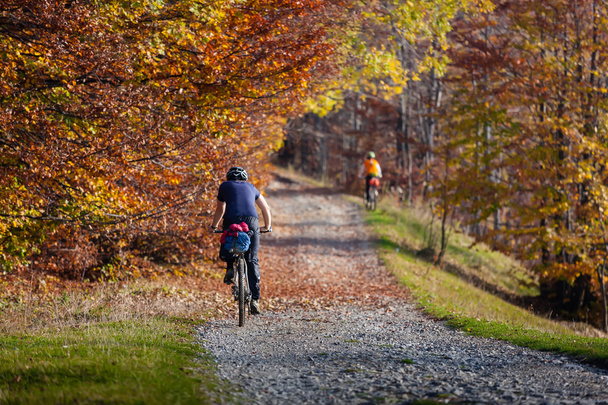 Mountain biker in autumn forest - Foto, imagen