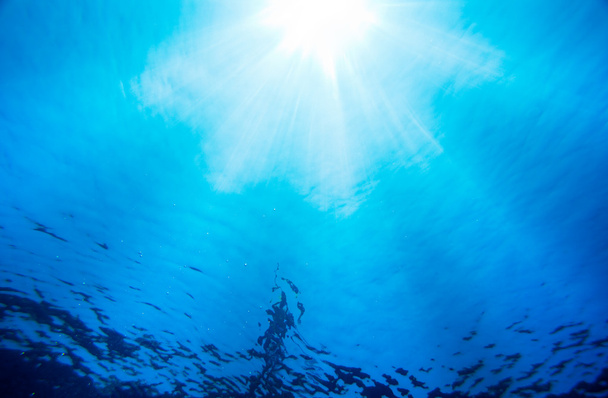 Under Water Light Rays - Foto, afbeelding