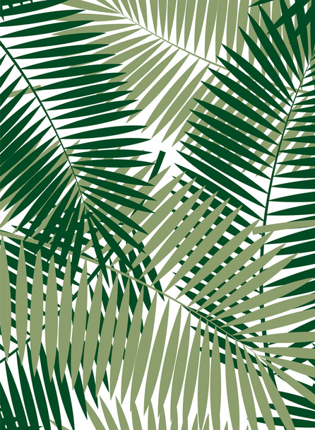 Palm Leaf Vector Frame Background Illustration - Vektör, Görsel