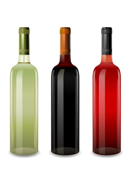 bottles of wine rosy, red and white vector - Vector, Image