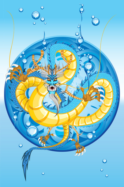 Chinese Water Dragon New Year - Vector, imagen