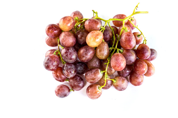 grapes - Photo, Image
