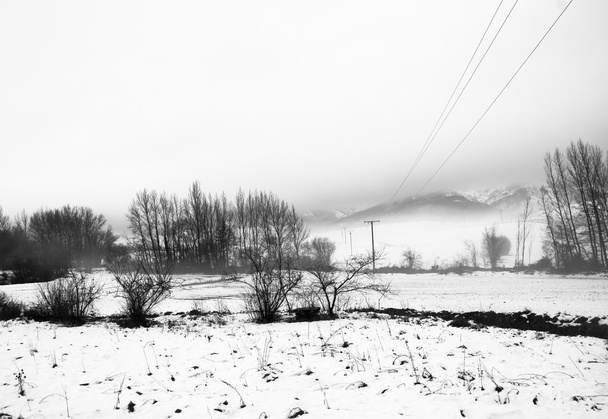 Nieve de invierno en blanco y negro
 - Foto, Imagen