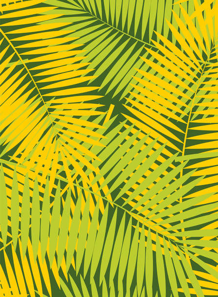 Illustration de fond de cadre vectoriel de feuille de palmier
 - Vecteur, image