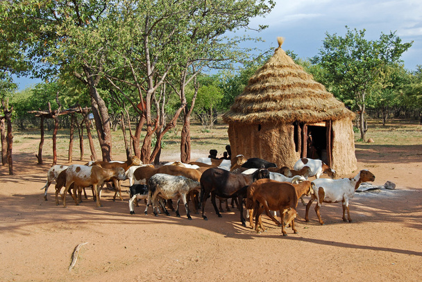 himba dorf mit traditionellen hütten in der nähe des etosha nationalparks in namibia, afrika - Foto, Bild