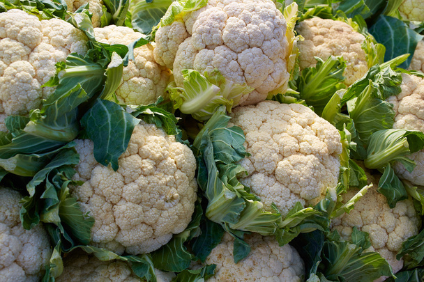 cauliflower cabbage texture pattern stacked in rows - Foto, afbeelding