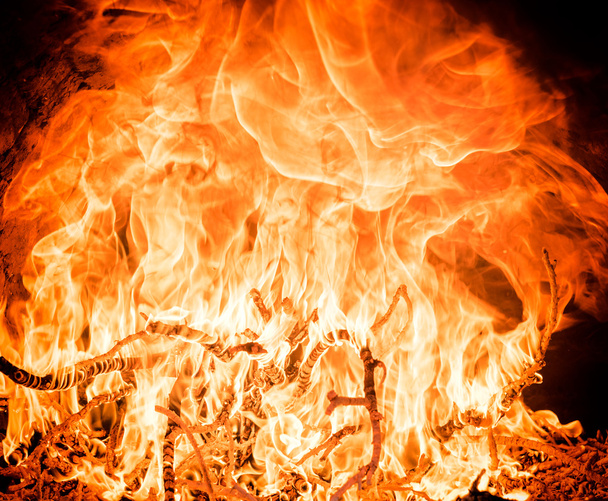 twigs of tree in fire flame - Fotografie, Obrázek