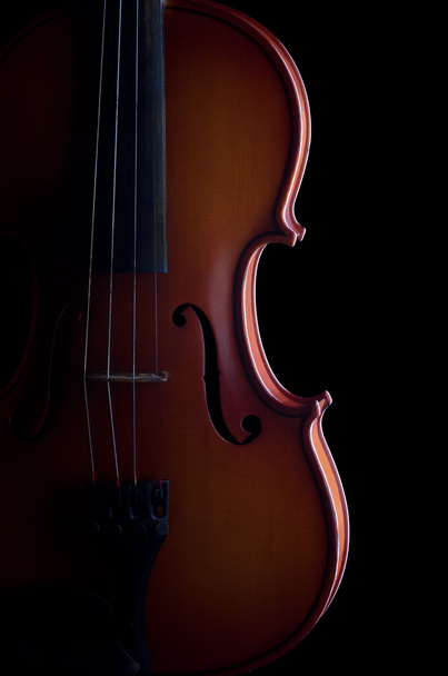Violin - Φωτογραφία, εικόνα