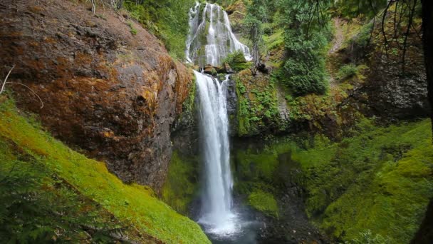 Wysokiej rozdzielczości filmu z dźwiękiem Audio wody Majestic Falls Creek Falls w stanie Waszyngton Hrabstwo Skamania w malowniczym Pacific Northwest 1 - Materiał filmowy, wideo