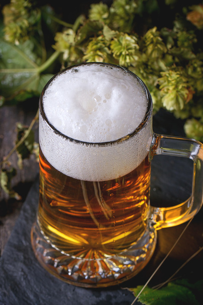 Mug of lager beer - Fotó, kép
