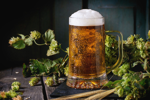 Mug of lager beer - Фото, зображення