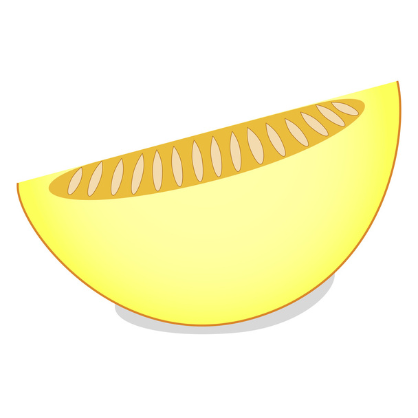 un pezzo di melone su sfondo bianco
 - Vettoriali, immagini