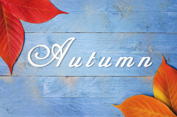 Autumn written on blue, grunge, wooden background with Autumn Leaves - Valokuva, kuva