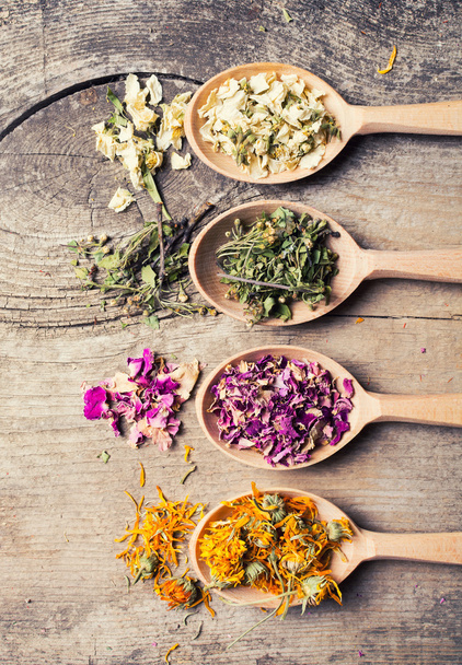 Nature medicine . Herbs background . - Фото, изображение