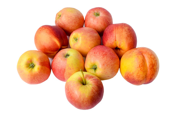 Apples with nectarines. - Φωτογραφία, εικόνα